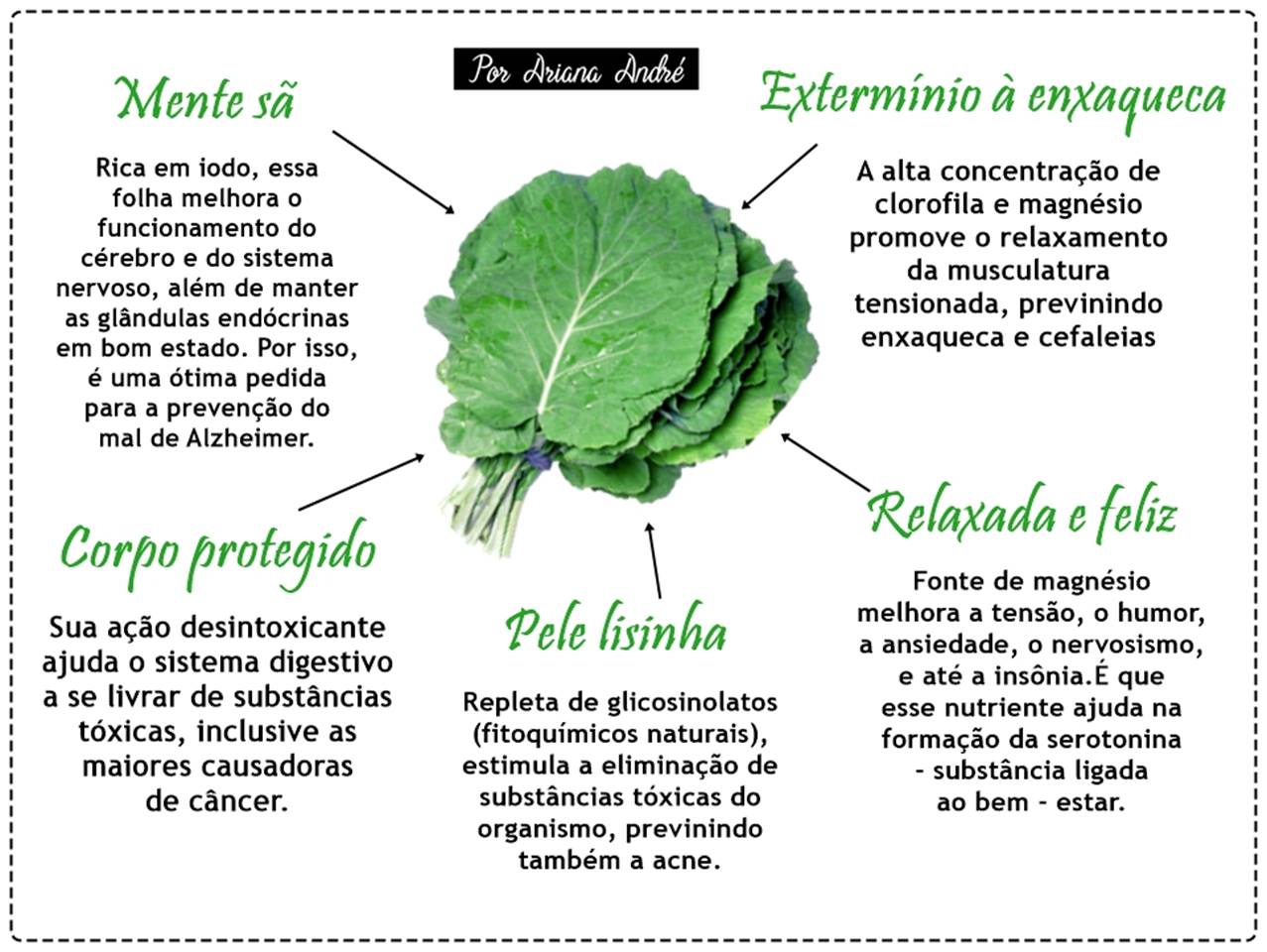 Como Plantar Couve Em Apartamento Mundo Ecologia