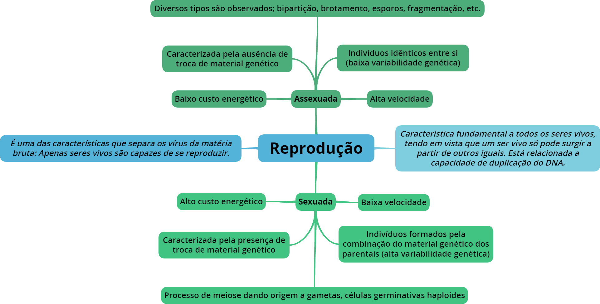 Ecologia Mapa Mental Mundo Ecologia