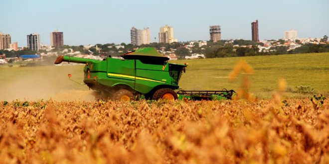 Quando Feita A Colheita De Soja Mundo Ecologia