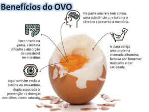 Para Que Serve A Gema Do Ovo O Que Tem Nela Mundo Ecologia