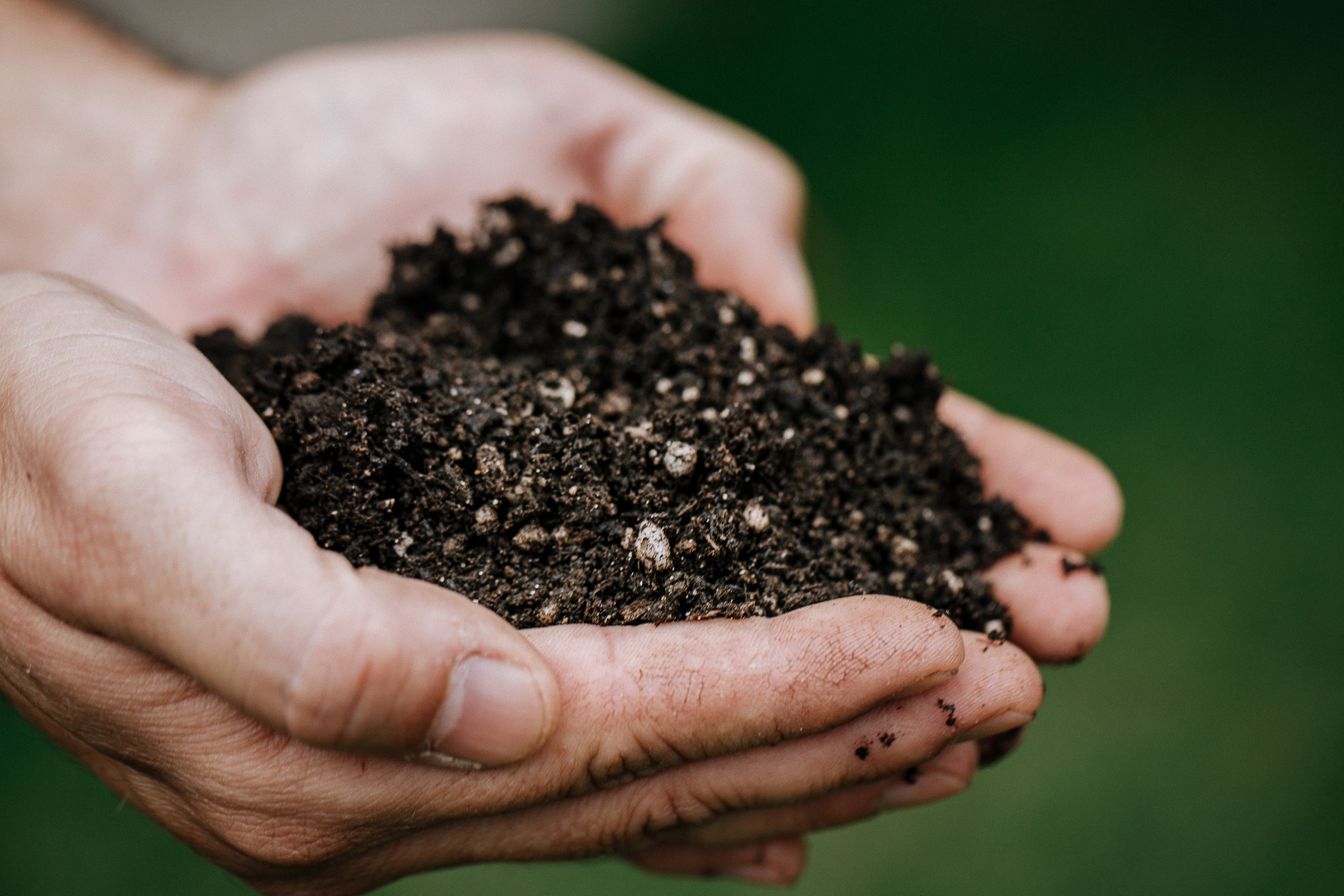 Como Escolher O Substrato Adequado Para O Cultivo De Plantas Encontre