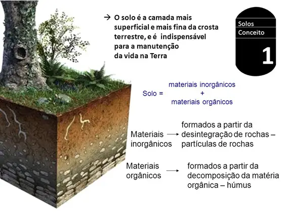 Propriedades Biológicas Do Solo Os Micróbios E A Bioturbação Do Solo Mundo Ecologia 7022