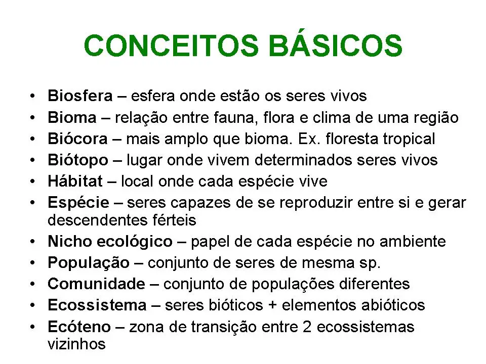 Introdução à Ecologia Conceitos Básicos Mundo Ecologia