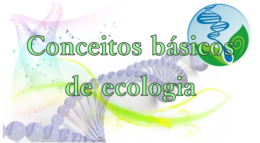 Introdução à Ecologia Conceitos Básicos Mundo Ecologia