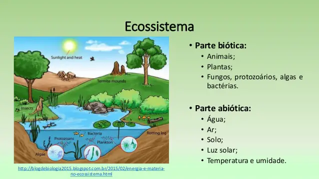 Introdução à Ecologia Conceitos Básicos Mundo Ecologia