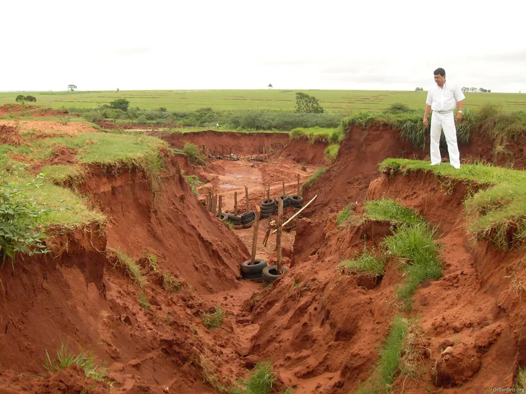 Preservar Os Solos Da Intensidade Da Erosão Mundo Ecologia 5443