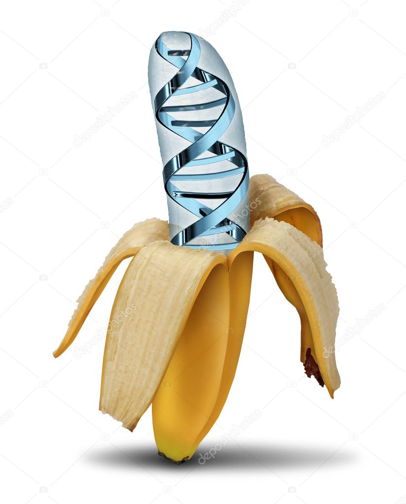 Cruzamento de Bananas: Conhecendo Mais Sobre a Proposta de Melhoramento Genético