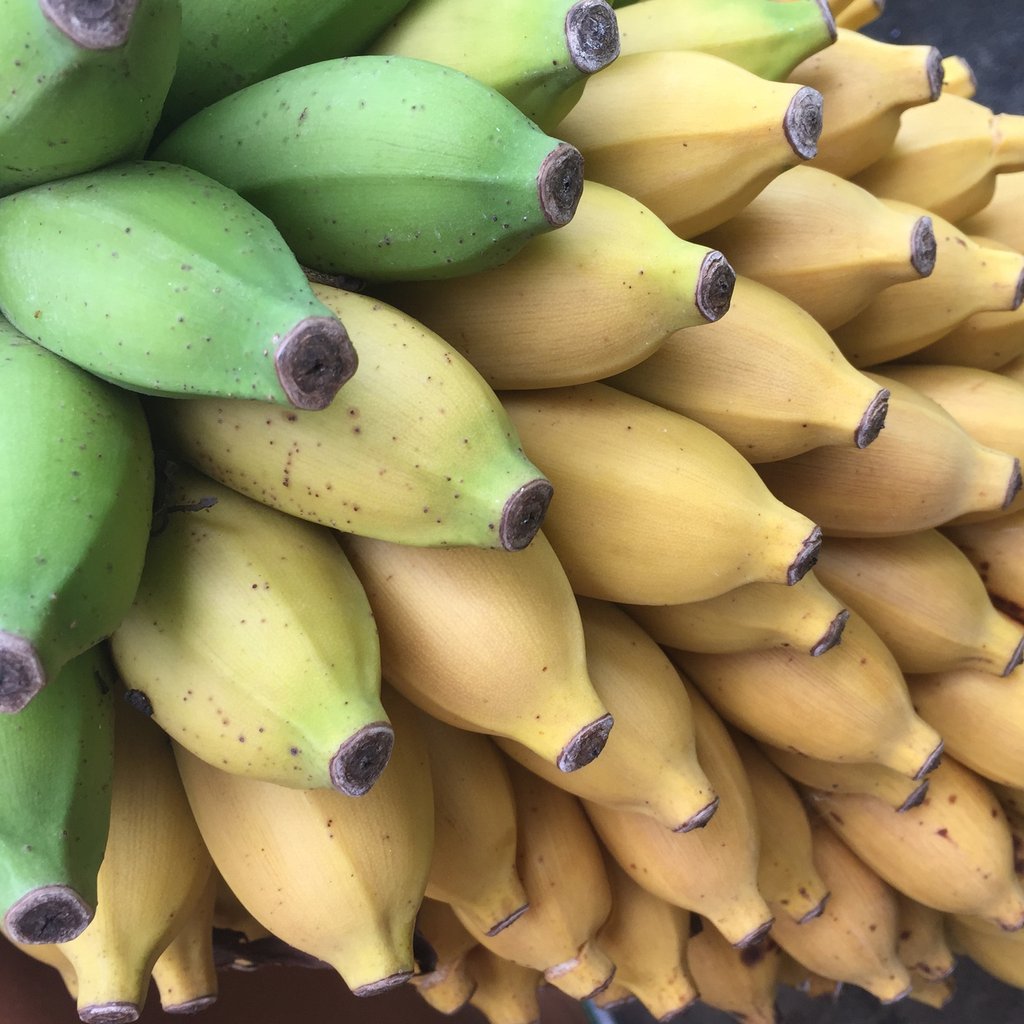 Banana Mysore