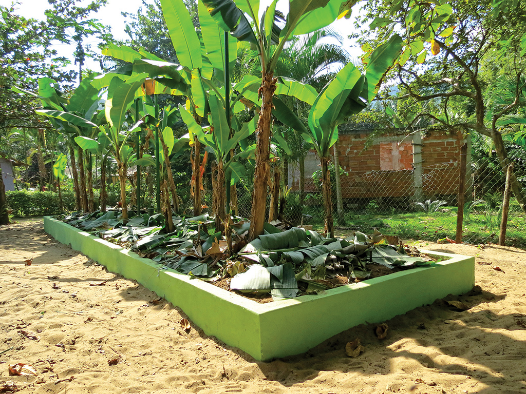 Nutrição da Bananeira