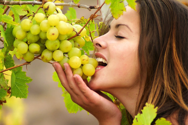 Uva é Fruto ou Pseudofruto?