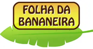 Folha da Bananeira