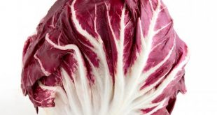 Alface Radicchio