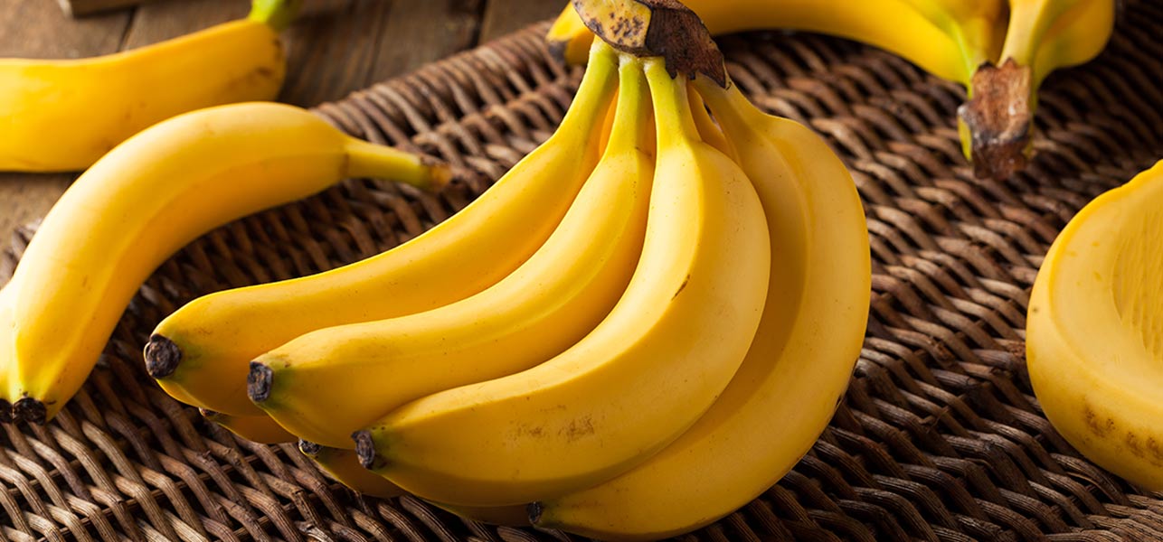 Como Plantar Banana Orgânica?