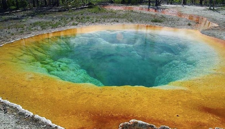 Parque Yellowstone Mortes