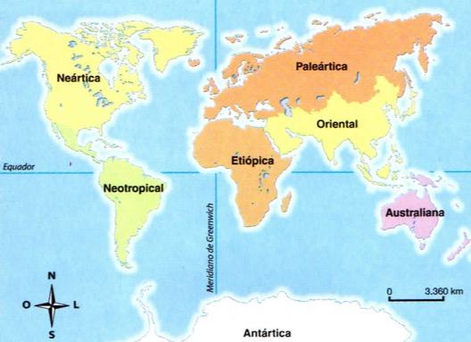 História da Biogeografia