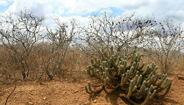 Degradação Ambiental da Caatinga