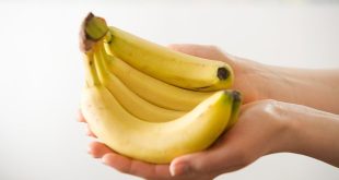 Cacho de Banana nas Mãos de uma Pessoa