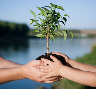 Qual a Importância da Ecologia no Mundo Atual?