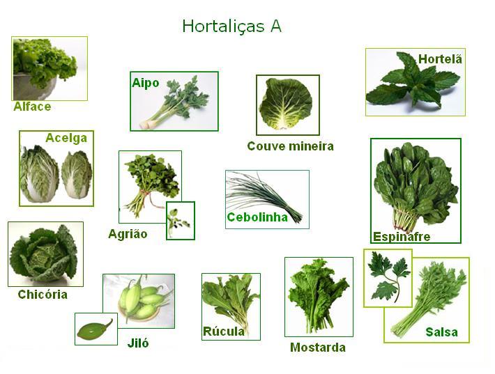 Crucíferas e Brassicas