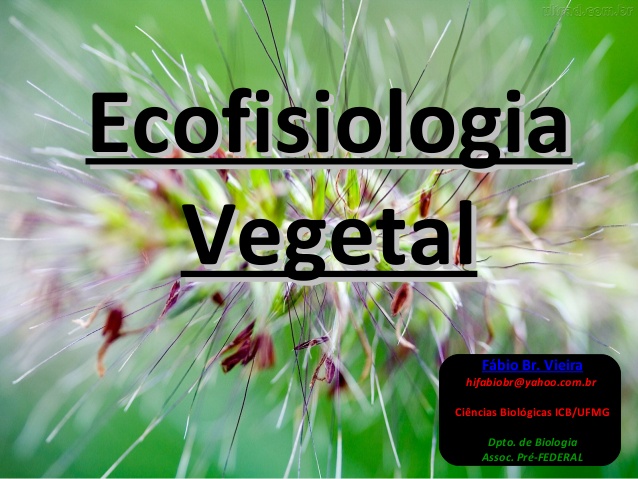 Ecofisiologia Vegetal: Conceito