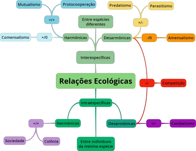 Esquema De Ecologia Mundo Ecologia