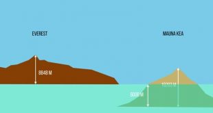 Everest vs Mauna Kea