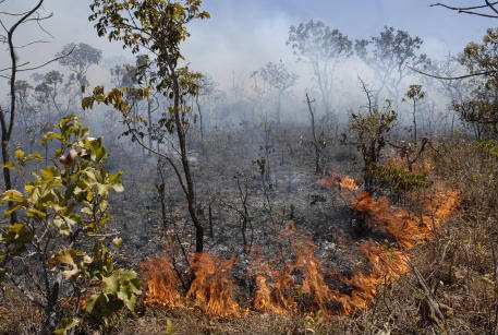 Impactos Ambientais Caatinga Resumo