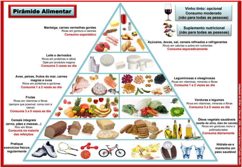 Teia Alimentar Exemplos Escritos