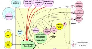 Agroecossistema Sustentável