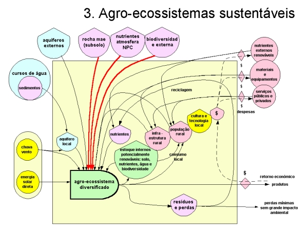 Agroecossistema Sustentável