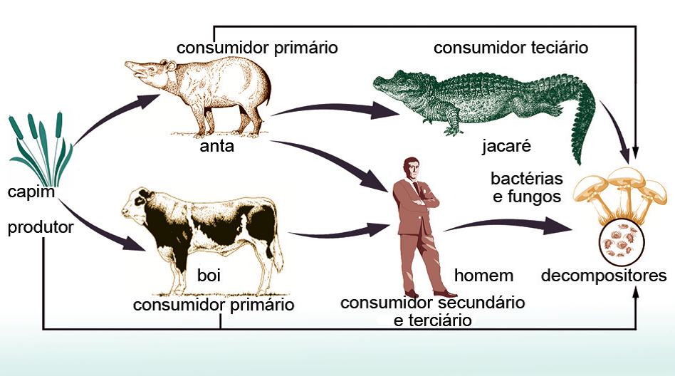 Nicho Ecológico do Ser Humano