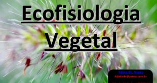 Ecofisiologia Vegetal