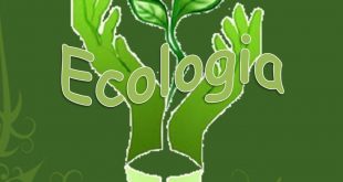 Ecologia