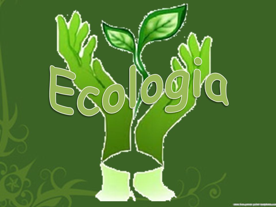 Ecologia Ambiental: Conceito