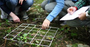 Estudantes de Ecologia