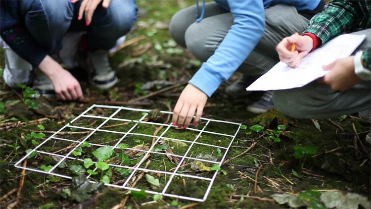 Técnico em Ecologia