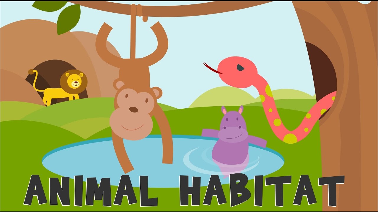 Tipo de Habitats dos Animais