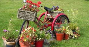 Canteiro Com Flores em Vasos