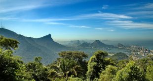 Fotos da Mata Atlântica