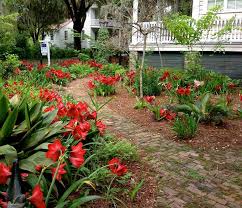 Jardim de Amarílis: Como Montar Um e Fotos de Belos Jardins | Mundo Ecologia