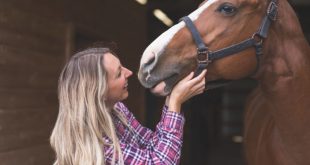 Cuidadora Acariciando o seu Cavalo