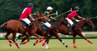 Polo Equestre