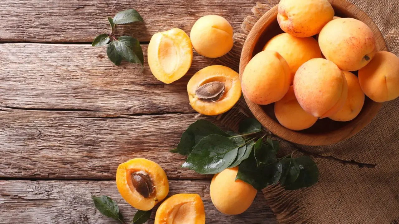 Pêssego com folhas contorno com mancha laranja nectarina damasco cartão  para aprender a palavra pêssego em inglês