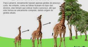 Teoria de Lamarck