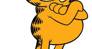 Gato Garfield