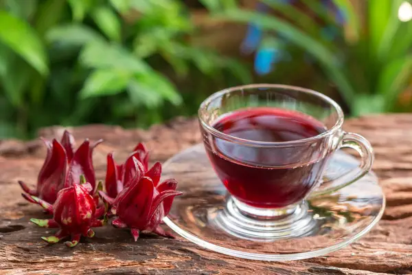 Qual é o Hibisco Comestível? Qual Serve Para Fazer Chá? | Mundo Ecologia