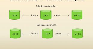 Sistema Tampão