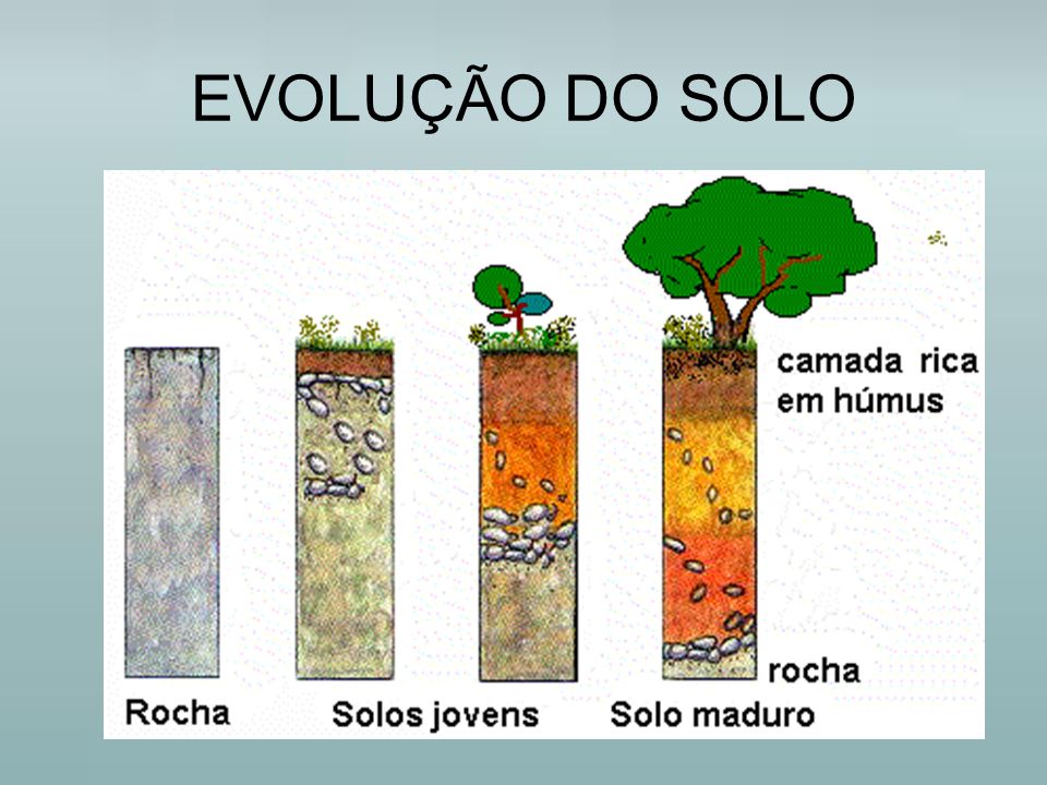 Fatores De Formacao Do Solo - LIBRAIN