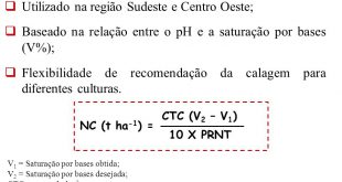 Saturação de Bases