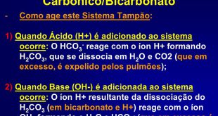 Tampão de Bicarbonato de Ácido Carbônico